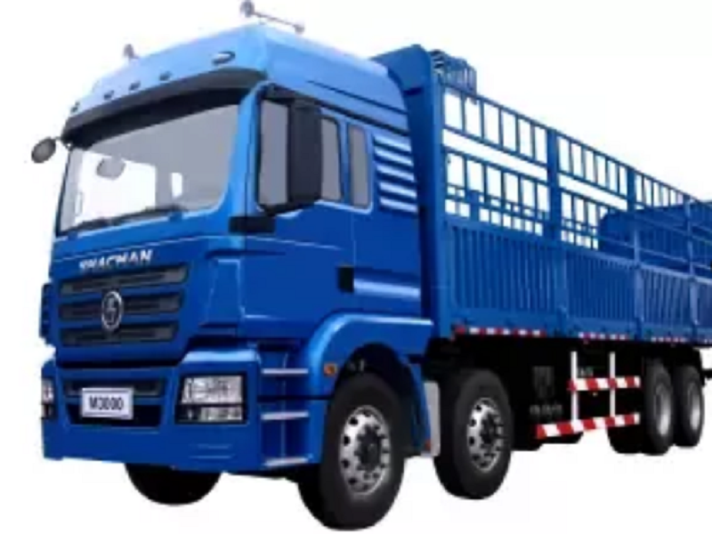 Shacman H3000 Lorry Truck 8x4